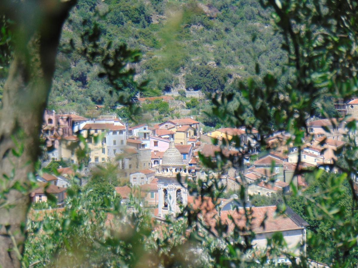 Divino Διαμέρισμα Villa Viani Εξωτερικό φωτογραφία